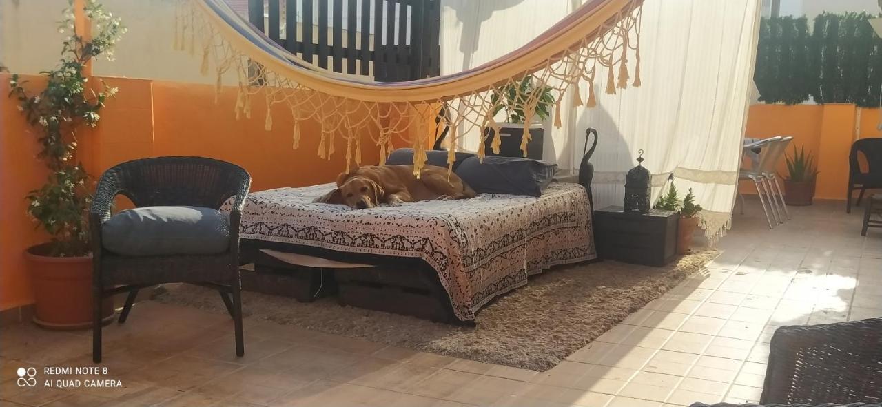 La Casita De Celia Apartman Alicante Kültér fotó